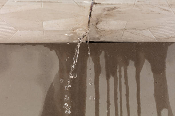 Professional Structural Drying technician working in Newport, NH